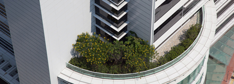 Tseung Kwan O Hospital Banner